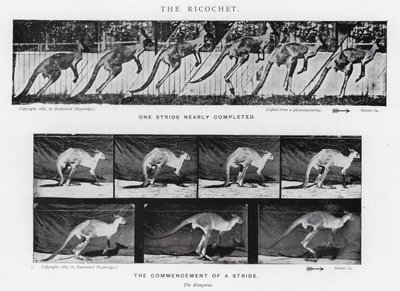 Eadweard Muybridge: Der Abpraller von Eadweard Muybridge