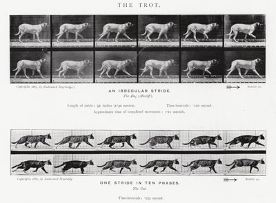 Der Trab von Eadweard Muybridge