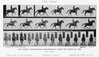Eadweard Muybridge: Der Trab von Eadweard Muybridge