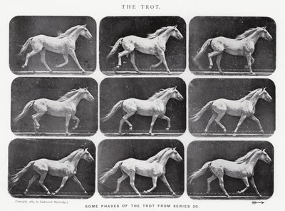 Eadweard Muybridge: Der Trab von Eadweard Muybridge