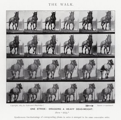 Eadweard Muybridge: Der Gang von Eadweard Muybridge
