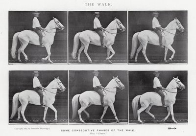 Eadweard Muybridge: Der Gang von Eadweard Muybridge