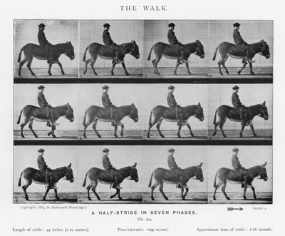 Der Spaziergang von Eadweard Muybridge