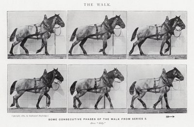 Eadweard Muybridge: Der Gang von Eadweard Muybridge
