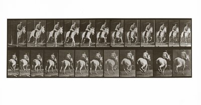 Galoppierendes Pferd mit Reiter, Platte 635 aus Animal Locomotion von Eadweard Muybridge