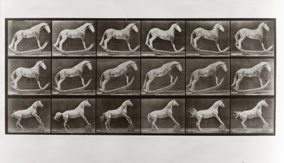Pferd auf Schaukel und Pferd rollt ein Fass, Platte 649 aus Animal Locomotion von Eadweard Muybridge