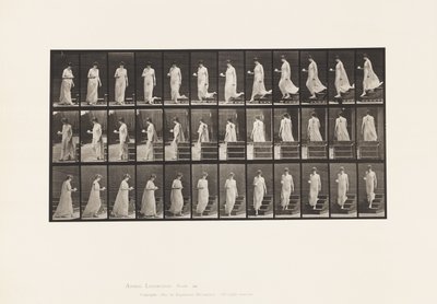 Tafel 143. Abwärtsgehen, Tasse und Untertasse in der rechten Hand drehend von Eadweard Muybridge