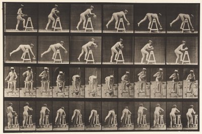 Tafel 203. Sich über ein Gestell beugen mit Wasserkrug von Eadweard Muybridge