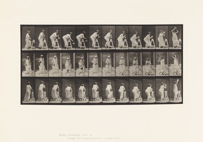 Tafel 216. Bücken, um einen Wasserkrug zu füllen; Krug auf den Kopf stellen von Eadweard Muybridge