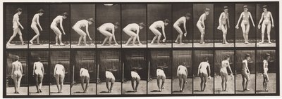 Tafel 220. Sich bücken und ein Taschentuch aufheben und sich umdrehen von Eadweard Muybridge