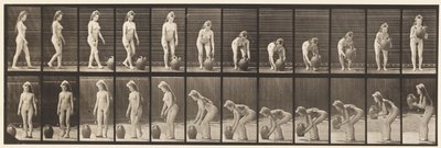 Tafel 228. Drehen und Wasserkrug vom Boden heben von Eadweard Muybridge