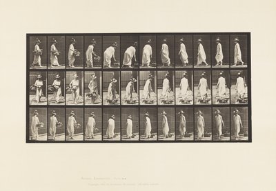 Platte 229. Korb auf den Boden stellen und Drehen von Eadweard Muybridge