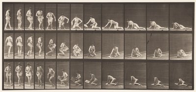 Auf dem Boden liegen und lesen von Eadweard Muybridge