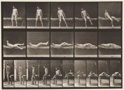 Tafel 259. Liegen auf einer Couch und Umdrehen auf die Seite, 1885 von Eadweard Muybridge