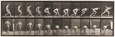 Tafel 287. Baseball; Laufen und Ball aufheben von Eadweard Muybridge