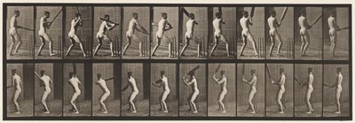 Tafel 292. Cricket; Schlagen; Rückwärts von Eadweard Muybridge