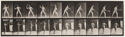 Tafel 294. Tennis; Aufschlag von Eadweard Muybridge