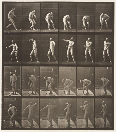Tafel 302. Einen Ball aufheben und werfen, 1885 von Eadweard Muybridge