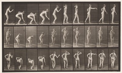Tafel 304. Einen Ball aufheben und werfen von Eadweard Muybridge