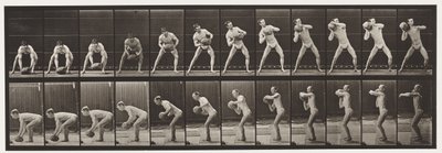Tafel 318. Einen 75-Pfund-Stein heben von Eadweard Muybridge