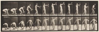 Tafel 326. 50-Pfund-Hantel in Armlänge heben von Eadweard Muybridge