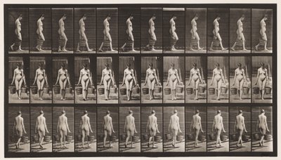 Tafel 32. Gehen, Eimer Wasser in jeder Hand tragend von Eadweard Muybridge