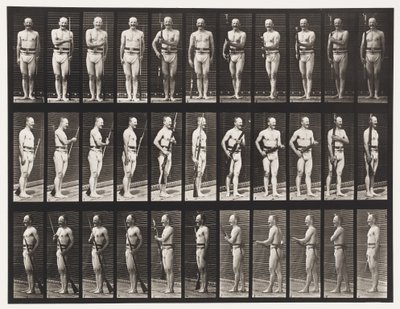 Tafel 351. Bajonette fixieren und lösen, 1872-1885 von Eadweard Muybridge