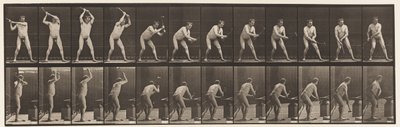 Tafel 376. Schmied, Hämmern auf dem Amboss, zwei Hände von Eadweard Muybridge