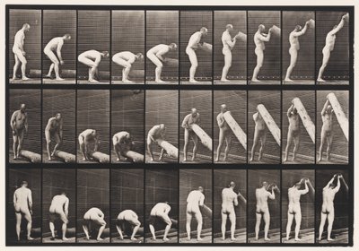 Tafel 382. Einen Baumstamm aufrichten, 1872-1885 von Eadweard Muybridge