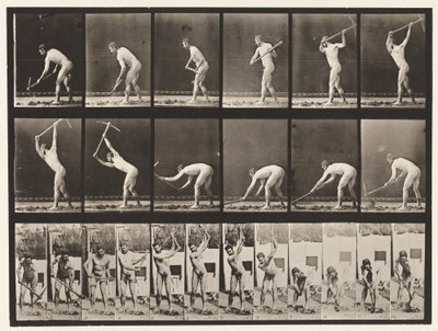 Tafel 385. Bauer, mit einer Hacke, 1872-1885 von Eadweard Muybridge