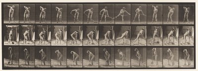 Tafel 387. Bauer, der eine Langstielschaufel benutzt von Eadweard Muybridge