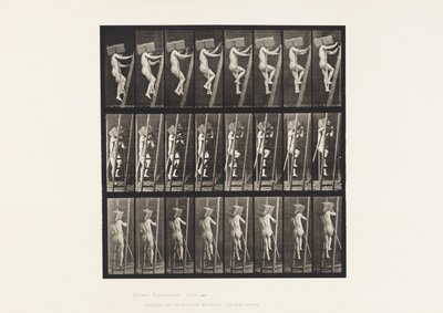 Handziegel eine Leiter hinauftragen von Eadweard Muybridge