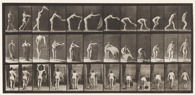 Tafel 439. Einen Teppich auf dem Boden ausbreiten von Eadweard Muybridge