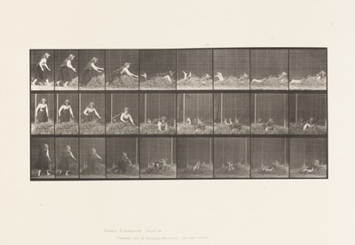 Tafel 455. Sich auf einen Heuhaufen werfen von Eadweard Muybridge