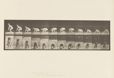 Tafel 479. Kind, das vom Boden aufsteht von Eadweard Muybridge