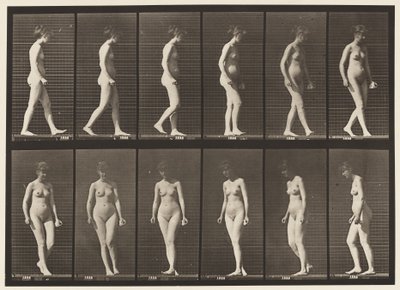 Tafel 47. Gehen und sich umdrehen von Eadweard Muybridge