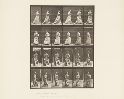 Gehen und Umdrehen mit Blumenstrauß in beiden Händen, 1885 von Eadweard Muybridge