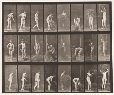 Tafel 499. Heu rechen und packen von Eadweard Muybridge