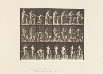 Tafel 507. Zimmermannsarbeit von Eadweard Muybridge
