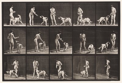 Einen Hund füttern von Eadweard Muybridge