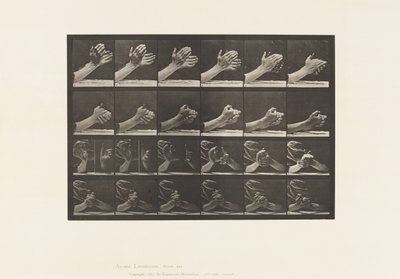 Tafel 533. Bewegung der Hand; Hände falten von Eadweard Muybridge