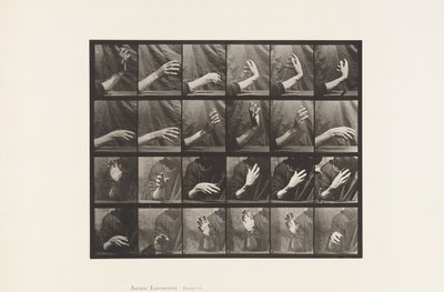 Tafel 535. Bewegung der Hand; Takt schlagen, 1885 von Eadweard Muybridge