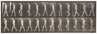 Tafel 555. Muskelatrophie der Beine; Erwachsener, A,B, Gehen, 1885 von Eadweard Muybridge