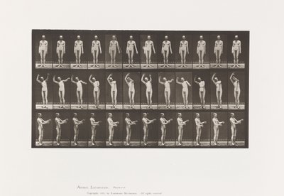 Tafel 557. Lokale Chorea; A, B, C, im Stehen, 1885 von Eadweard Muybridge