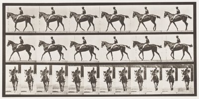 Tafel 580. Gehen; Sattel; Vollblut-Braune Stute Annie G., 1885 von Eadweard Muybridge