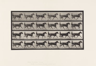 Tafel 608. Trabend; Sulky; Fuchsfarbene Stute Flode Holden von Eadweard Muybridge