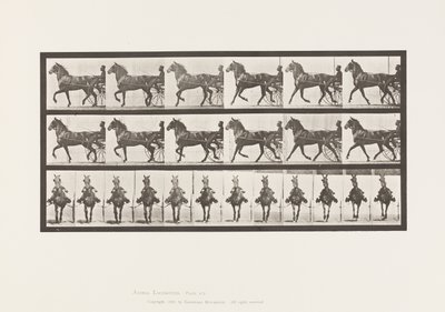Tafel 612. Trabend; Sulky; Braunes Pferd Dereumd von Eadweard Muybridge