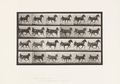 Tafel 613. Trab; Sulky; Fuchsfarbene Stute Nellie Rose von Eadweard Muybridge