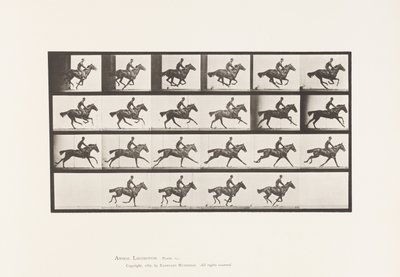 Tafel 625. Galopp; Vollblut Braunes Pferd Bouquet von Eadweard Muybridge
