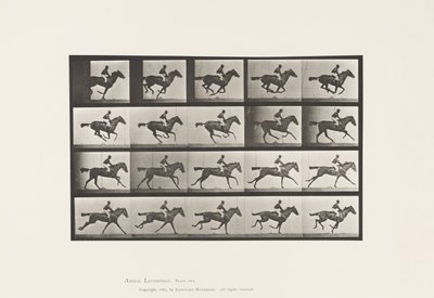 Tafel 627. Galopp; Vollblut-Braune Stute Annie G. von Eadweard Muybridge